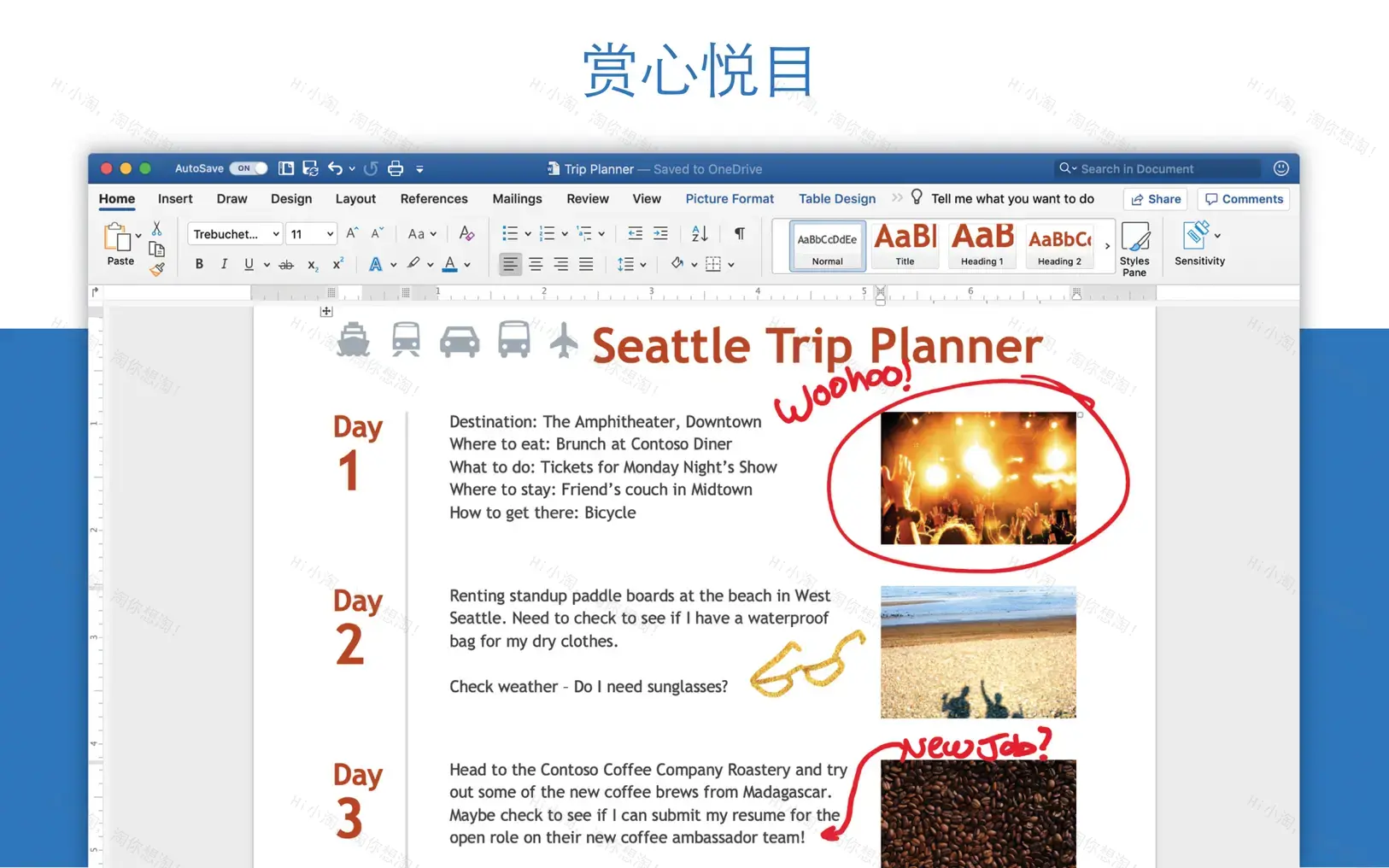 Microsoft Word 2021 2024 For Mac v16.94 Word文档中文版